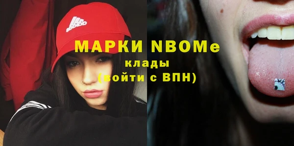 твердый Бородино
