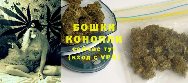 твердый Бородино