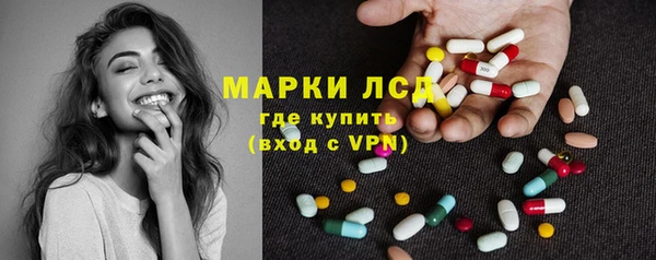 твердый Бородино