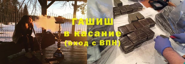 твердый Бородино