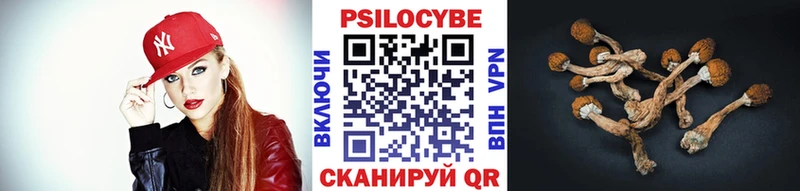 mega маркетплейс  наркотики  Дрезна  Галлюциногенные грибы MAGIC MUSHROOMS 